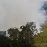 Fundo auxiliará produtores rurais atingidos por incêndios em SP