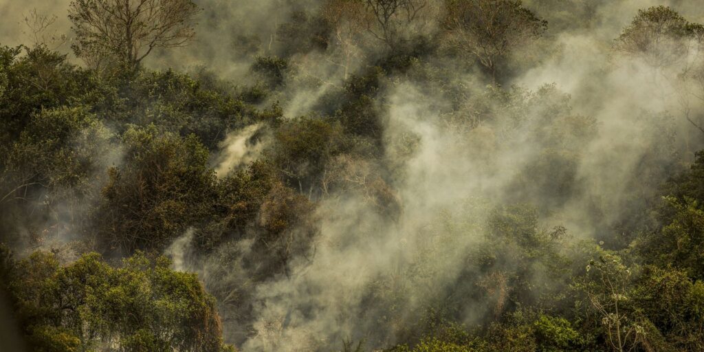 Rondônia declara situação de emergência por incêndios florestais