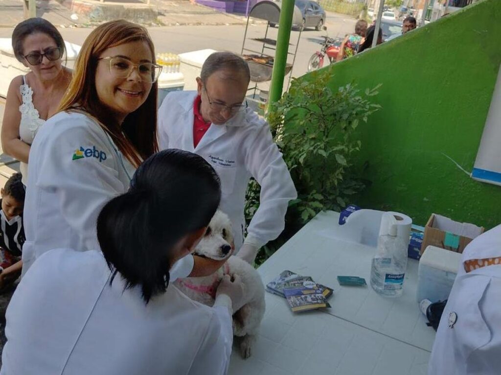 Caruaru recebe ação gratuita de adoção de pets e vacinação antirrábica na sexta-feira (13); veja como participar | Caruaru e Região