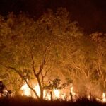Dez cidades do Norte e Centro-Oeste respondem por 20% das queimadas
