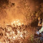 Monitoramento mostra que 99% dos incêndios são por ação humana
