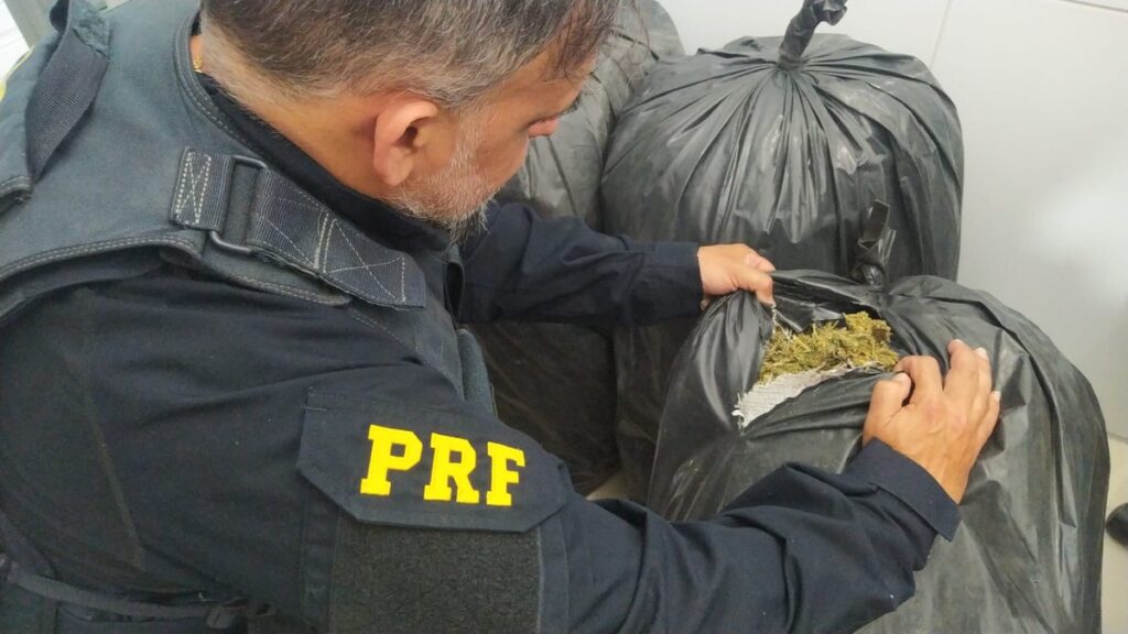 PRF apreende mais de 150 quilos de maconha em Sertânia; droga seria transportada para o Agreste