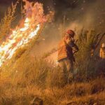 Rio de Janeiro tem o maior número de queimadas desde 2017
