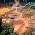Crimes ambientais na Amazônia Legal aumentam 88%, aponta PRF