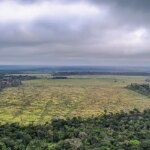 Degradação de florestas na Amazônia bate recorde mensal em setembro