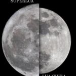 FOTOS: veja imagens da superlua registradas pelo Associação Astronômica de Arcoverde na quinta (17)