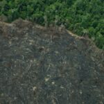 Greenpeace: imagens mostram novas áreas de garimpo em TIs na Amazônia