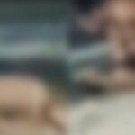 Ato libidinoso foi gravado por pessoas que estavam em bar na orla de Ponta Verde, em Maceió