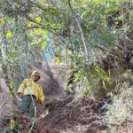 ICMBio multa Exército em 6,5 milhões por incêndio em parque