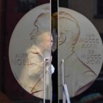 Nobel não premia pesquisadoras pela 12ª vez em 20 anos - 16/10/2024 - Ciência