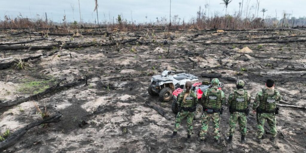 Presos dois suspeitos de provocar incêndios na Amazônia