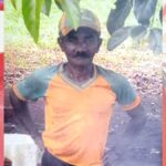 Agricultor morre após ser picado por cobra em Borrazópolis