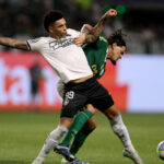 Botafogo celebra força mental, Palmeiras detona arbitragem - 27/11/2024 - Esporte