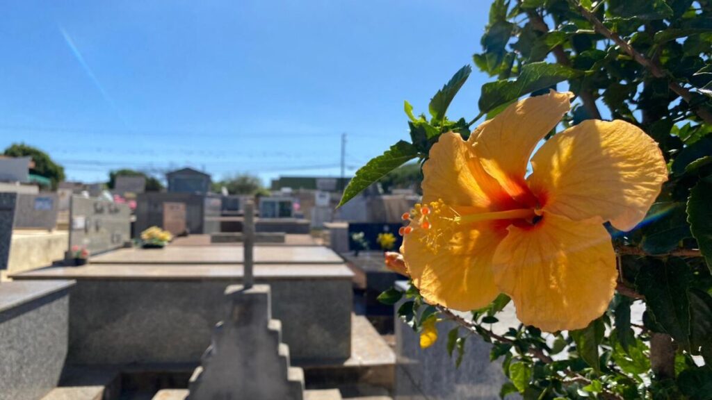 Confira os falecimentos desta quarta-feira (27) em Arapongas