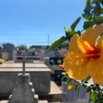 Confira os falecimentos desta quarta-feira (27) em Arapongas