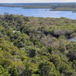 Desmatamento na Amazônia cai 30,6% com menor área desmatada desde 2013