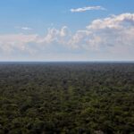 EUA anunciam US$ 50 milhões para o Fundo Amazônia