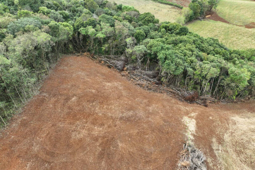 Governo do Paraná quer retirar poder de conselho ambiental - 22/11/2024 - Ambiente