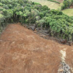 Governo do Paraná quer retirar poder de conselho ambiental - 22/11/2024 - Ambiente