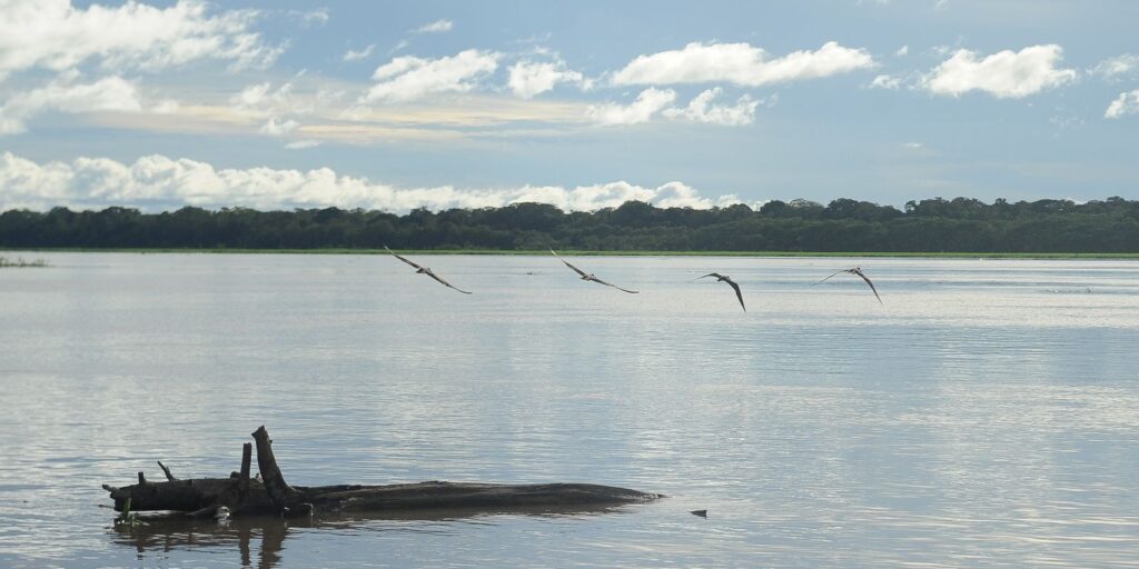 Seca: governo paga auxílio para pescadores da Região Norte