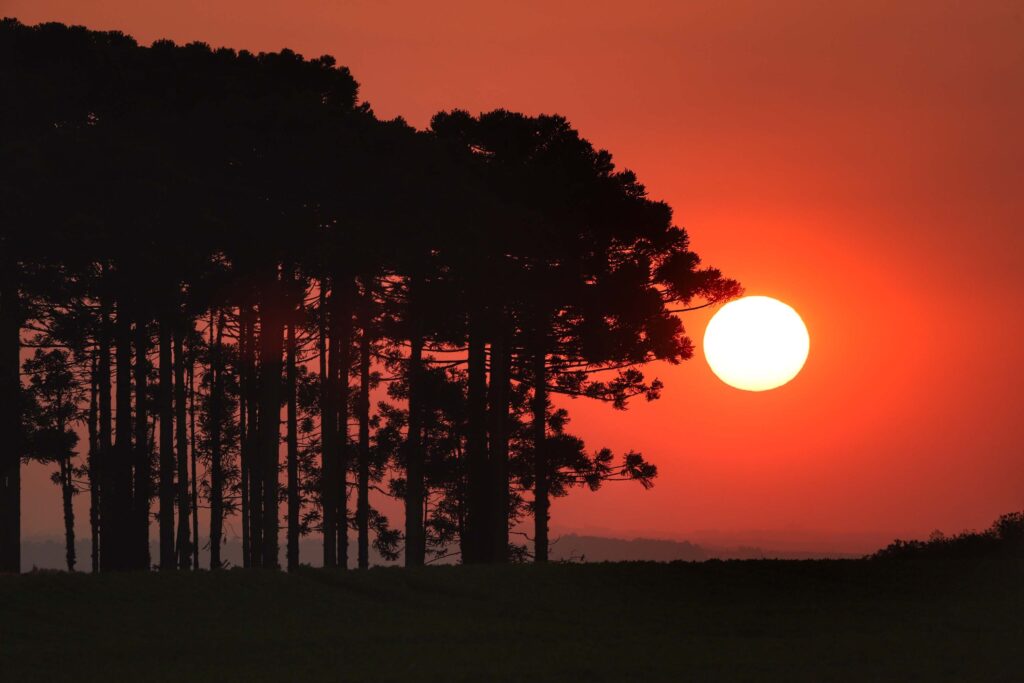 Temperatura deve subir e chegar a 34º em cidades do Agreste até quarta-feira; veja previsão do tempo | Caruaru e Região