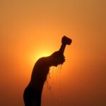 2024 é o ano mais quente da história da humanidade - 09/12/2024 - Ambiente