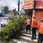 Chuva causa alagamento e faz São Sebastião adiar evento - 21/12/2024 - Cotidiano