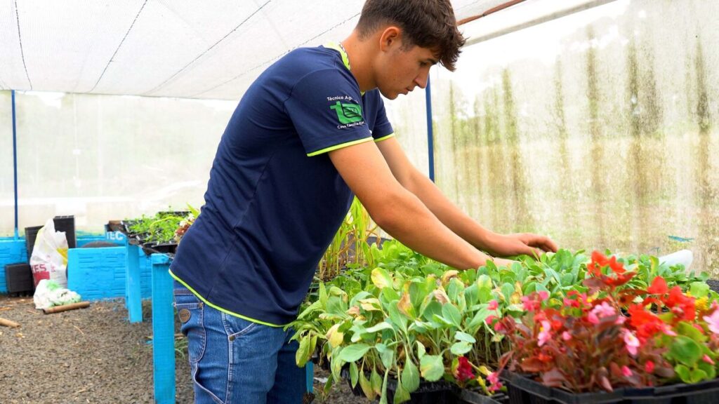 Jovem quer mudar a história da família no Ganhando o Mundo Agrícola