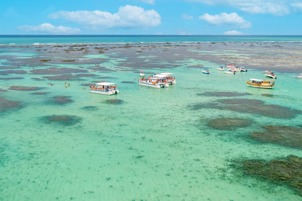 Justiça proíbe visitação à Lagoa Azul, em Maragogi - 22/01/2025 - Cotidiano