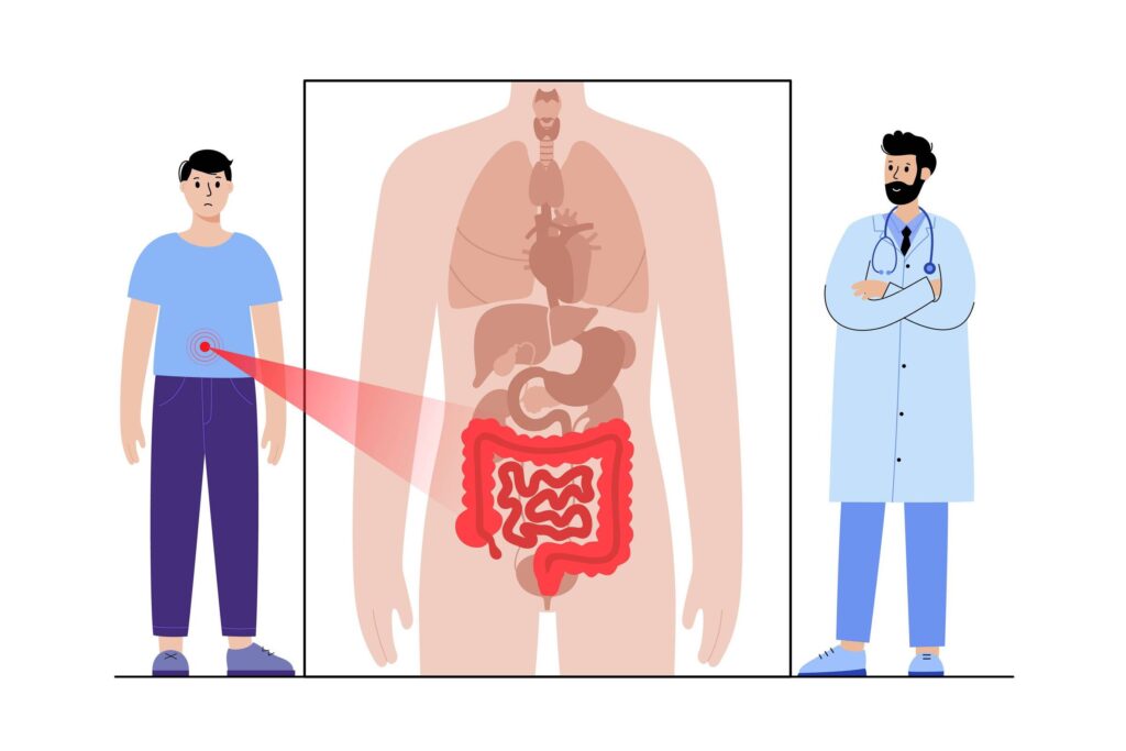 Mitos sobre saúde intestinal: veja o que dizem médicos - 29/01/2025 - Equilíbrio