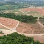 PR: Corte de mata atlântica para ampliar aterro é barrado - 28/01/2025 - Ambiente