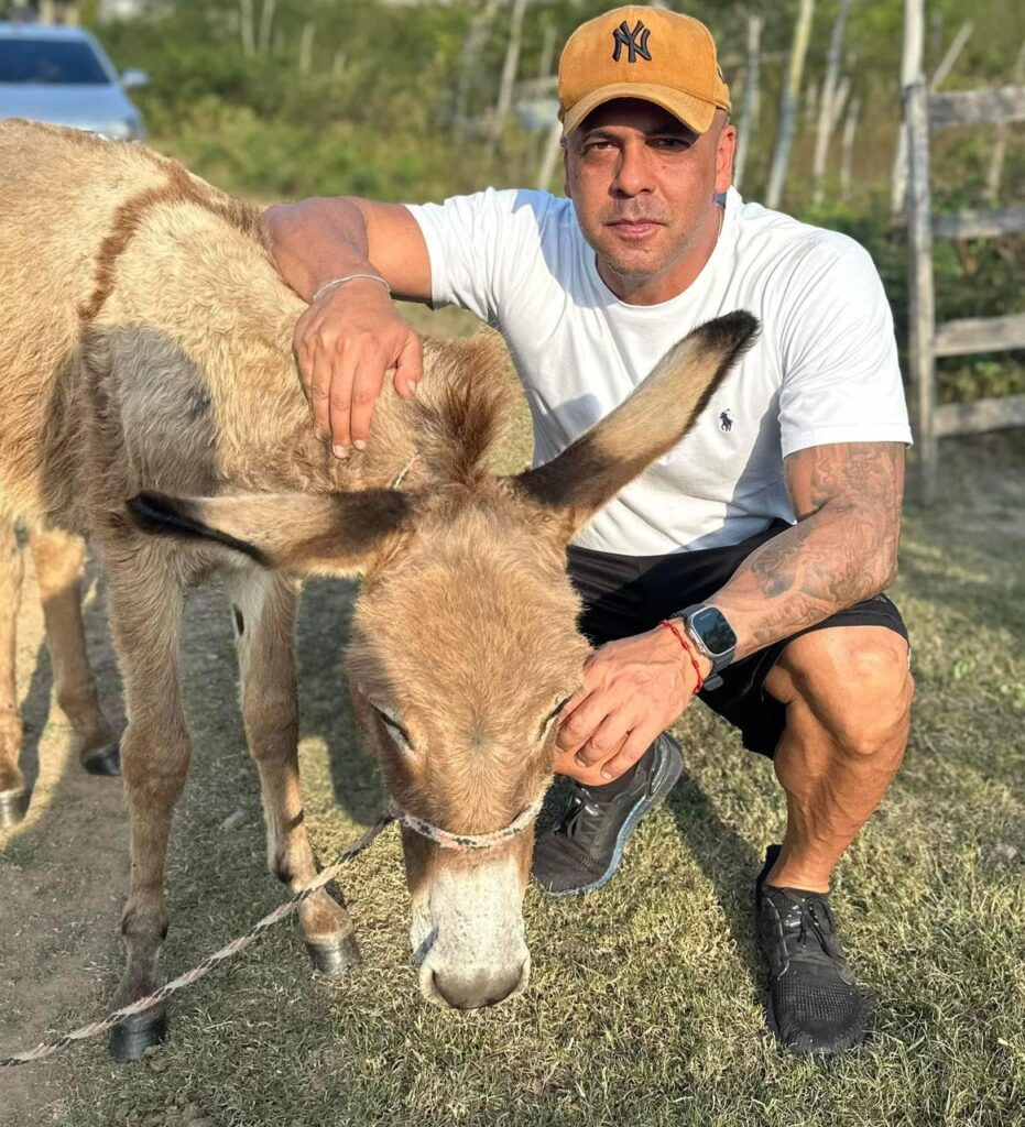 Anderson Correia alerta para fiscalização dos animais de grande porte soltos nas ruas de Caruaru e fará projeto de lei com multa para tutores irresponsáveis