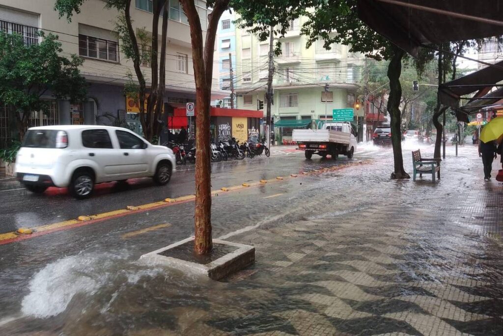 Chuva: SP está em estado de atenção para alagamentos - 02/02/2025 - Cotidiano