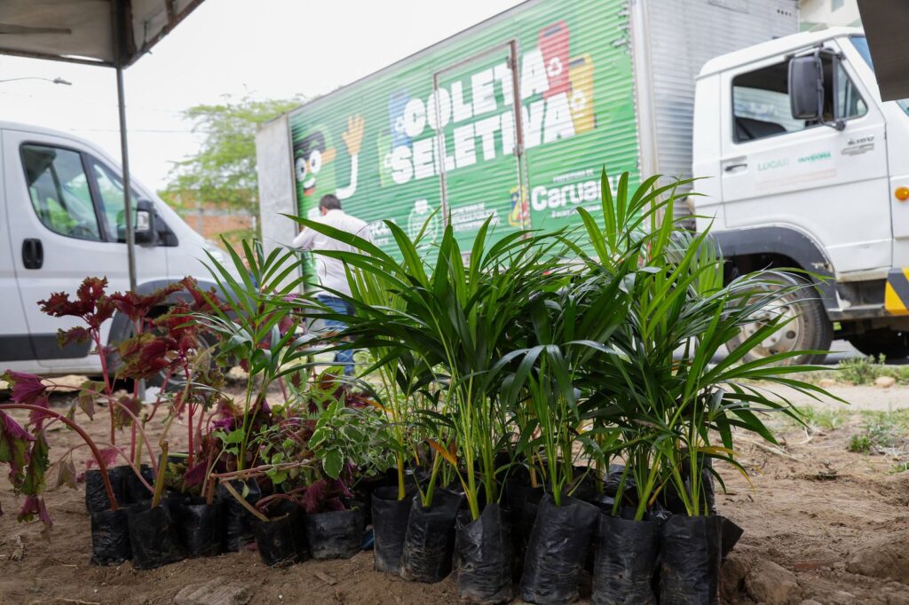 Prefeitura de Caruaru vai disponibilizar mudas de plantas gratuitas durante o evento "Estação Mulher"