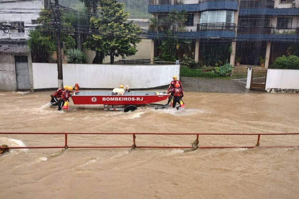 Cabra é resgatada em porta-malas durante enchente em Petrópolis - 06/04/2025 - Cotidiano