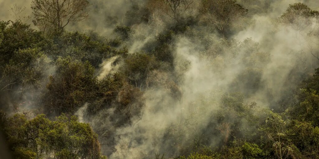 Crise climática pode provocar nova extinção em massa, diz pesquisador
