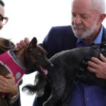 Lula lança programa de identificação e proteção de cães e gatos