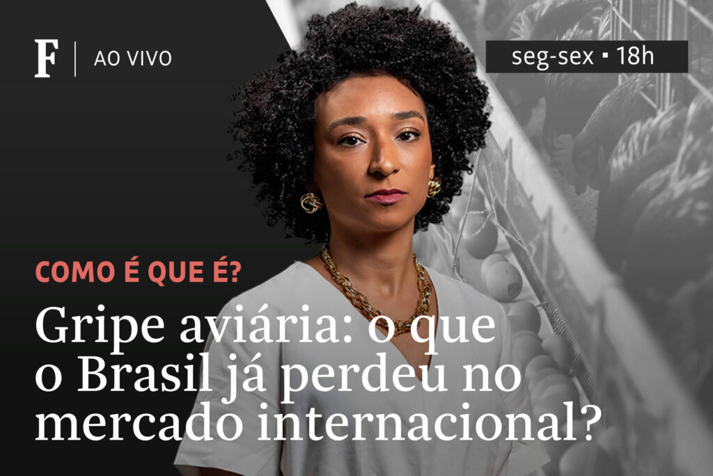 Gripe aviária: o que o Brasil já perdeu no mercado internacional? - 27/05/2025 - Tv Folha