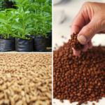 O Potencial Verde do Pequeno Negócio: Rumo à COP 30 com a Bioeconomia Brasileira