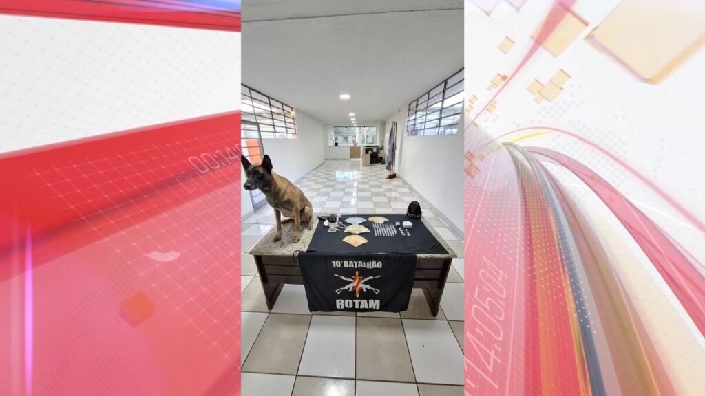 Rotam prende casal por tráfico de drogas em Apucarana