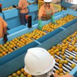 Confira a lista de quase 700 produtos que não serão taxados pelos EUA