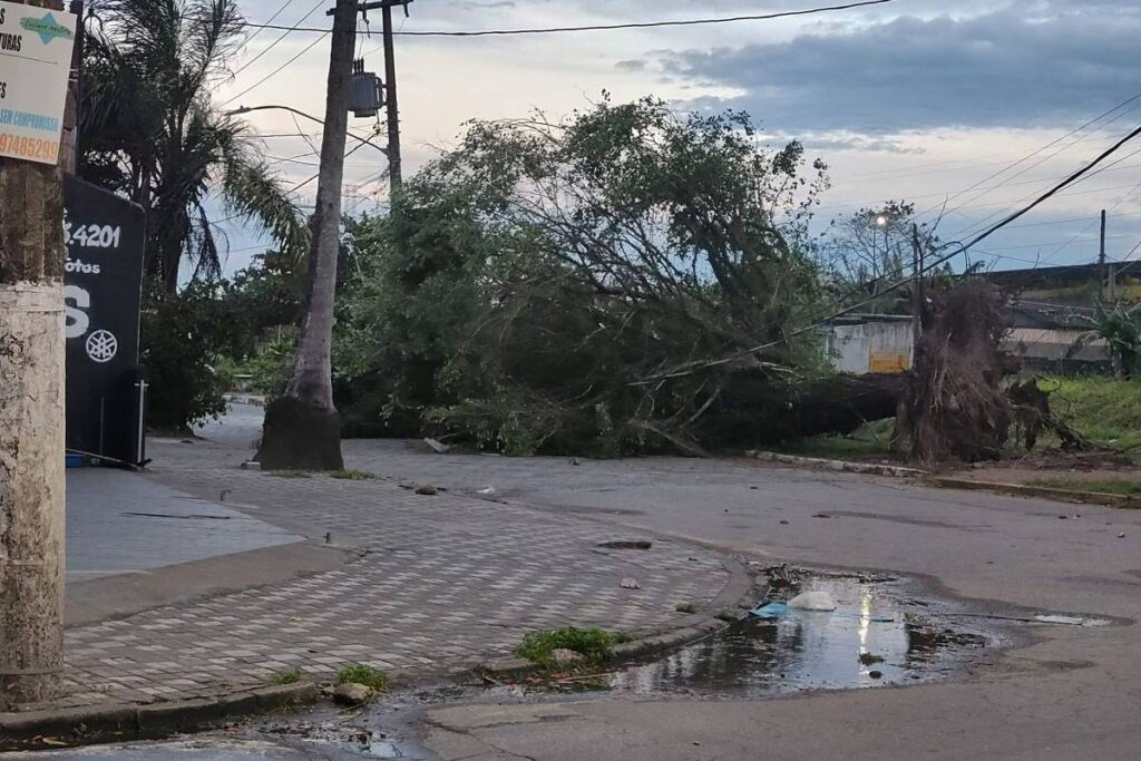 Ventos fortes causam destelhamento e paralisam balsa em SP - 28/07/2025 - Cotidiano
