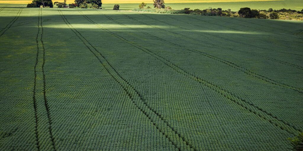 COP30: agro quer se posicionar como parte da solução, diz associação