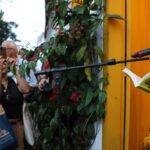 Flip: 34 mil pessoas estiveram na festa que homenageou Leminski