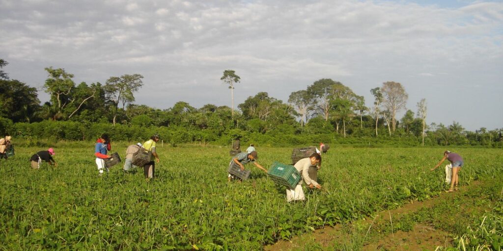 Programa AgroAmigo oferece R$ 1 bilhão em microcrédito