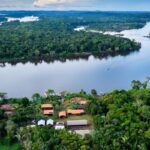 BNDES lança edital voltado para recuperação da floresta amazônia