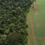 Estados e DF devem padronizar Autorização de Supressão de Vegetação