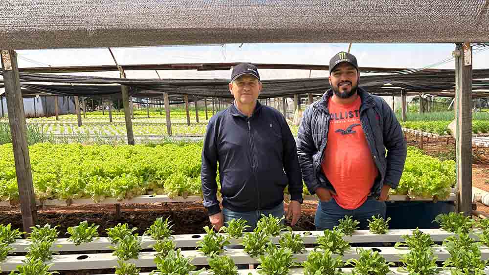Hidroponia ganha espaço na produção de alimentos na região