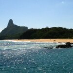 Ilhas brasileiras: estudo revela presença de espécies exclusivas