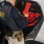 Após fuga pela BR-376, PRF apreende quase 200 kg de maconha em Jandaia